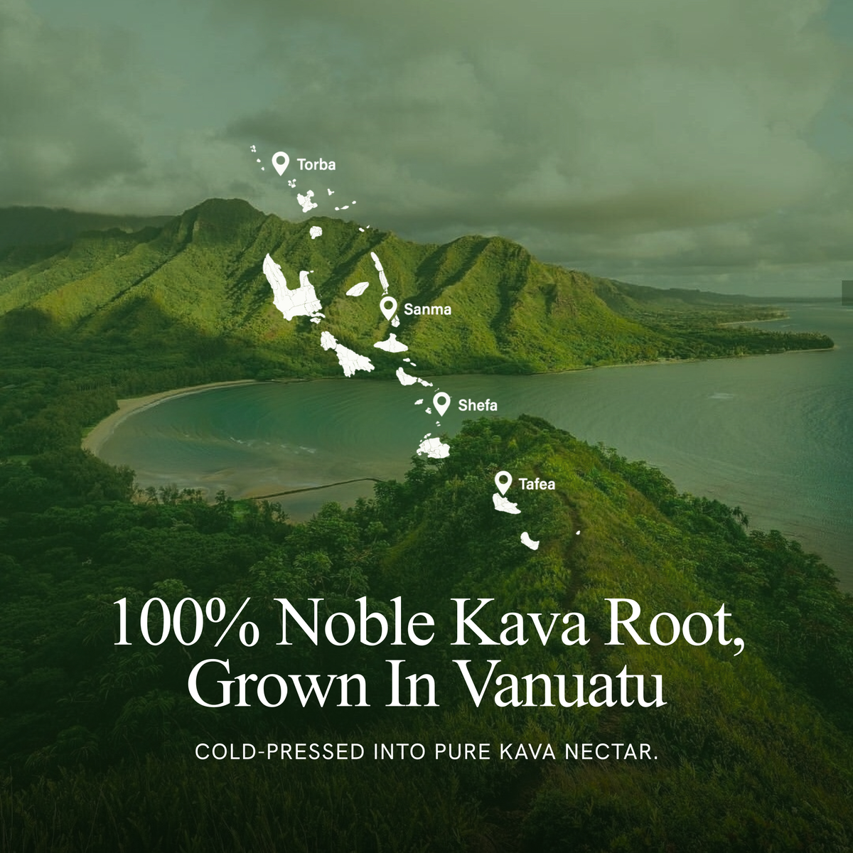 Kava Nectar