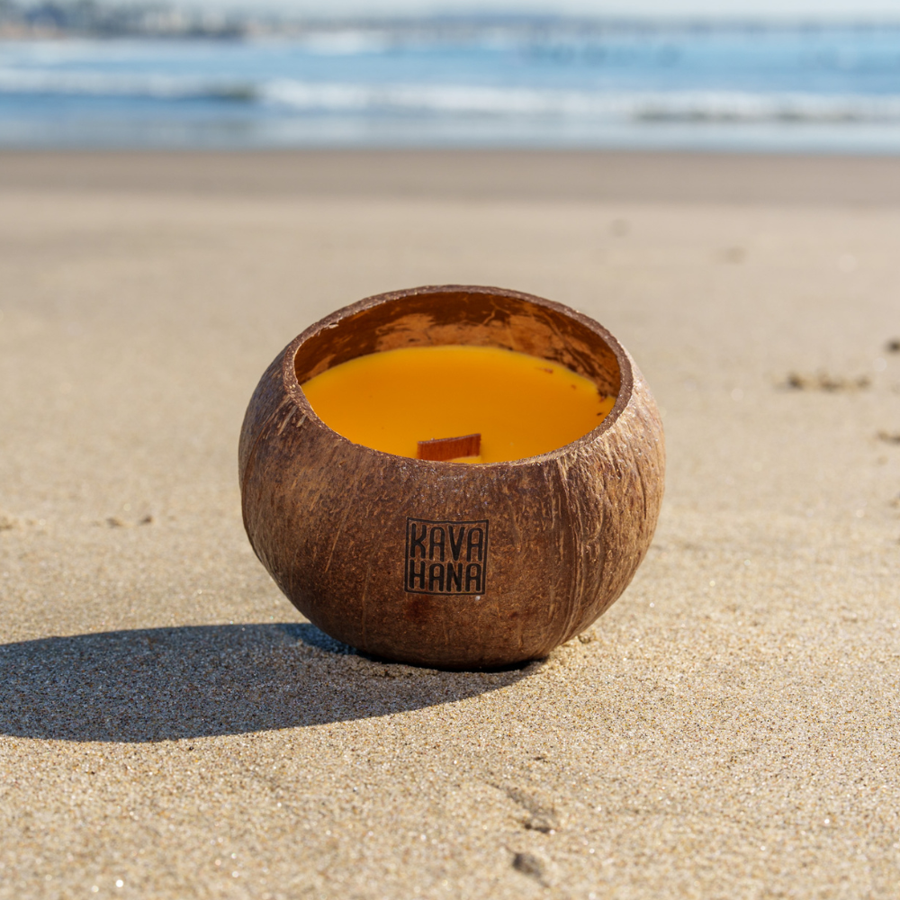 Handmade Tropical Island Coconut Shell Candles