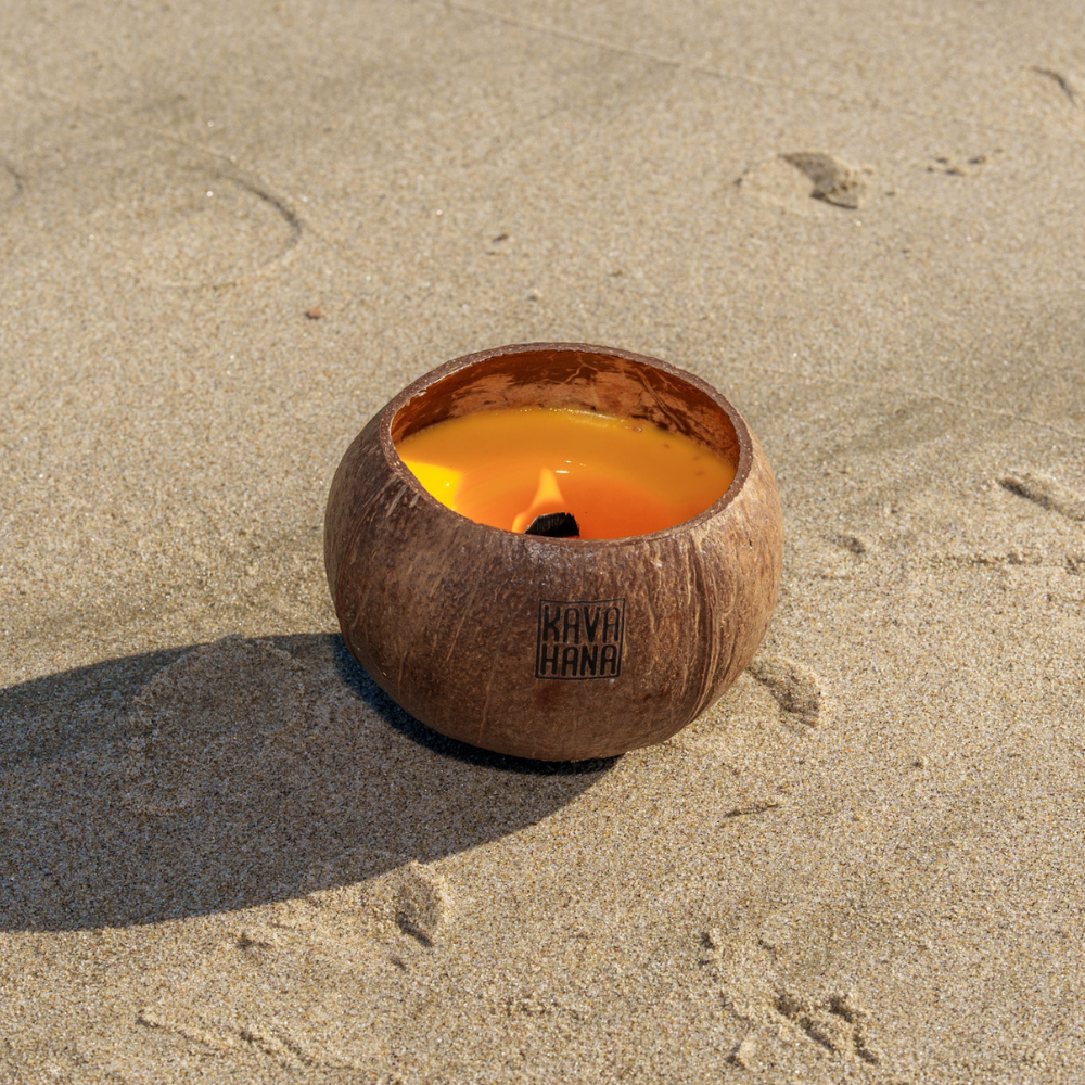 Handmade Tropical Island Coconut Shell Candles